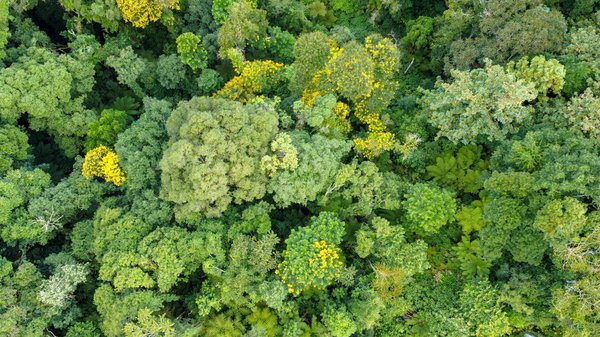 Mode et beauté : vos essentiels pour briller au quotidien