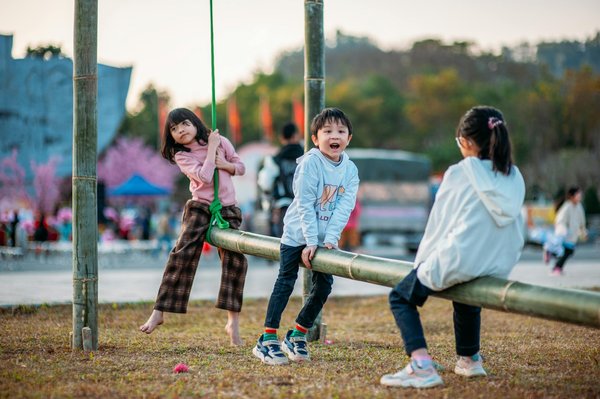 Transformez votre espace : idées pour votre blog maison et jardin