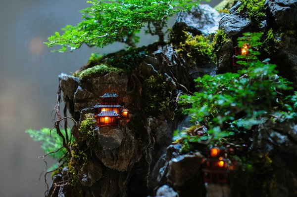 Alimentation équilibrée pour votre cavalier king charles